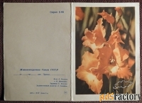 Телеграмма. Раскин. Матанов. Гладиолусы. Цветы. 1970 год