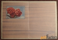 Телеграмма. Раскин. Матанов. Гладиолусы. Цветы. 1970 год