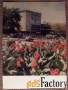 Открытка. Алма-Ата. Универмаг Детский мир. 1970-е годы