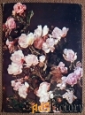 Открытка. Роза. Японская розовая. 1983 год