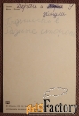 Открытка. Львята. 1985 год