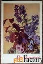 Открытка. Поздравляю. Цветы. 1977 год
