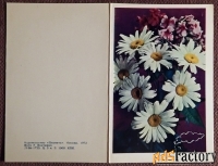 Двойная открытка. С праздником. Ромашки. Цветы. 1972 год
