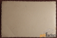 Фото СССР. Собаки. Мягкие игрушки