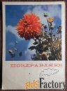 Открытка. Анфингер. Поздравляю. Цветы. 1968 год