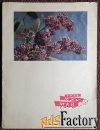 Открытка. Дергилев. 1965 год