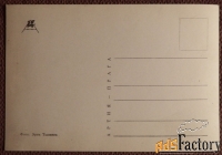 Открытка. Кот. Кошка. Прага. Чехословакия. 1960-е годы