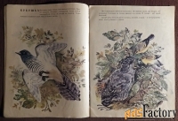 Книга. Г. Снегирев. Про птиц. 1991 год