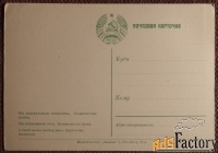 Открытка. Беловежская пуща. На тетеревином току. Тетерев. 1950-е годы
