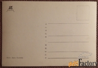 Открытка. Котенок 3. Прага. Чехословакия. 1960-е годы