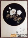 Открытка. Поздравляю. Цветы. 1981 год
