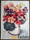 Открытка. Настурция. Анютины глазки. Цветы. Польша. 1950-е годы