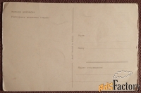 Открытка. Настурция. Анютины глазки. Цветы. Польша. 1950-е годы