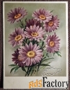 Открытка. Хризантемы. Цветы. ГДР. 1950-е годы