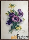 Открытка. Букет. Анемоны. Медуница. Цветы. Германия. 1950-е годы