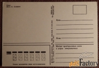 Открытка. Ирис. Цветы. 1982 год