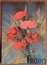 Открытка. Дергилев. Гвоздики. Цветы. 1985 год