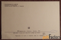 Открытка. Композиция из цветов. Настурция. Цветы. 1974 год