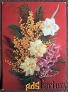 Открытка. Костенко. 8 Марта. Нарциссы. Цветы. 1976 год