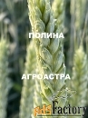 Семена озимой пшеницы донской селекции  эс/рс1/рс2