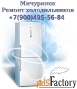 Ремонт холодильников в Мичуринске