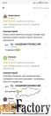 Курс «Младшая мед. сестра» с выдачей документов
