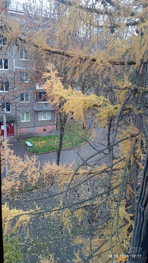 2 - комн. квартира, 47.2 м², 5/5 эт.