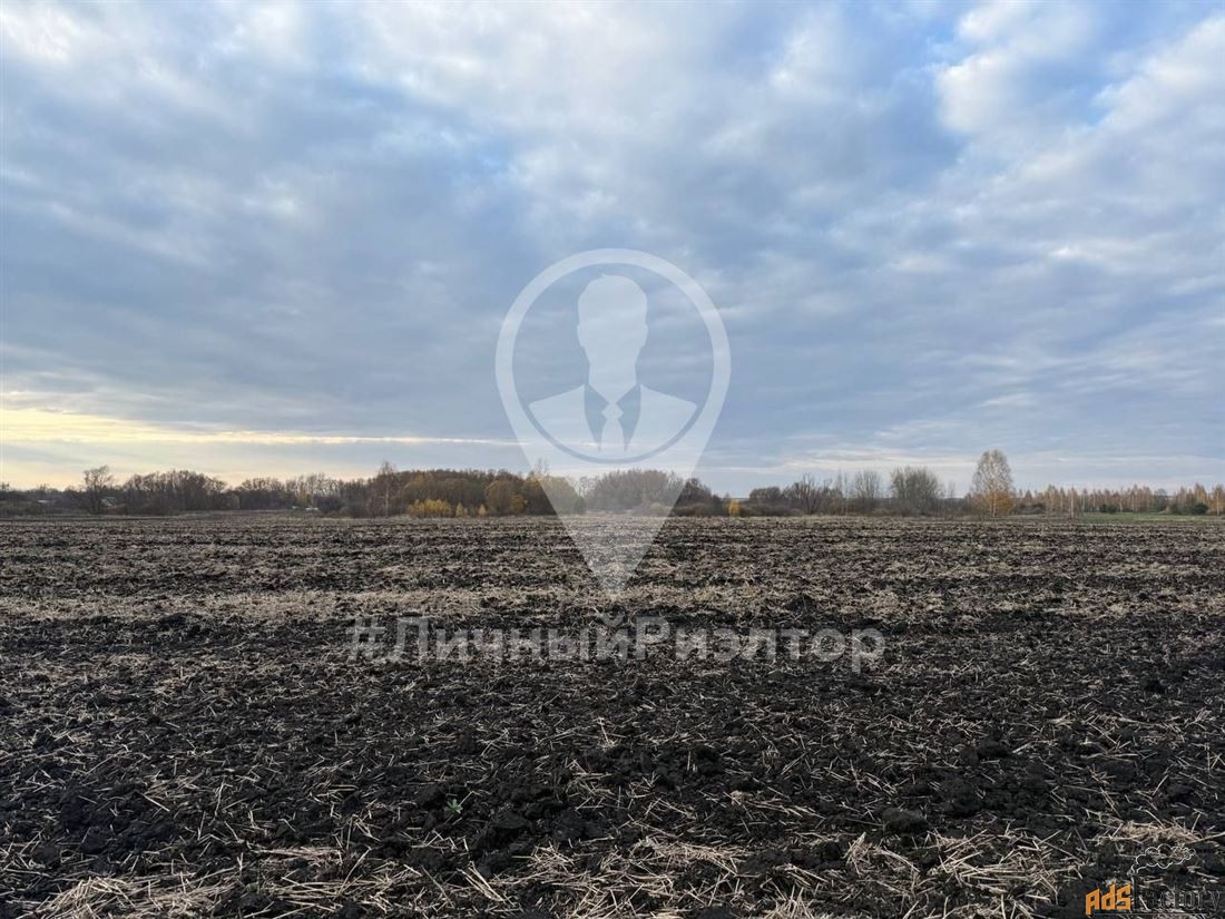 Участок 2341 сот. (другое)