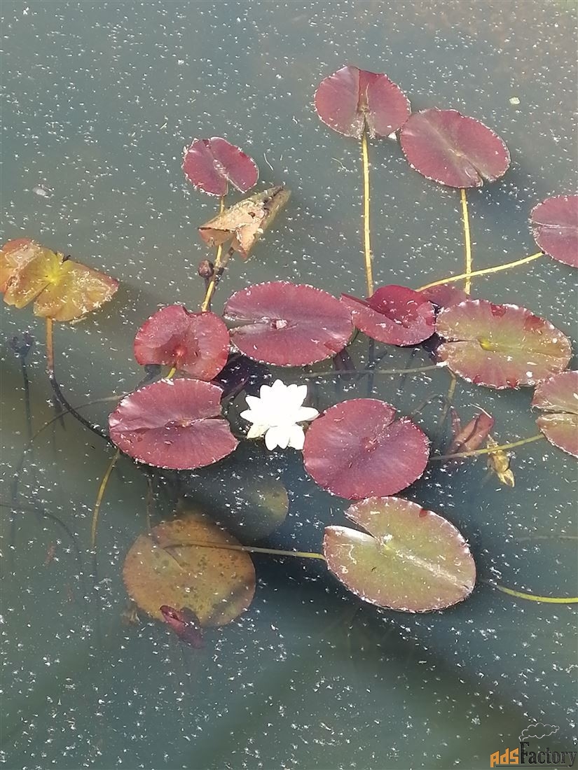 производственно-складской комплекс/помещение, 18 м²