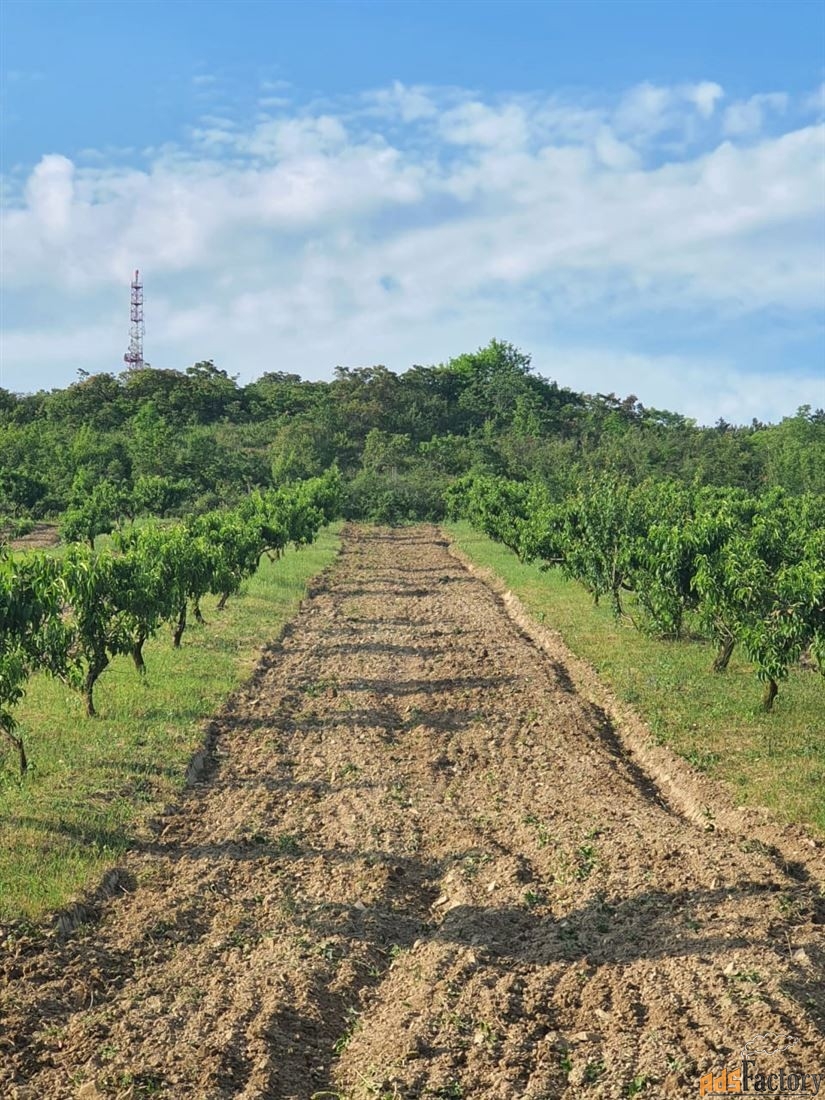 Участок 150 сот. (ижс)