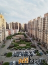 1 - комн.  квартира, 24 м², 11/16 эт.