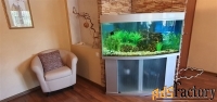 3 - комн.  квартира, 119.3 м², 1/10 эт.