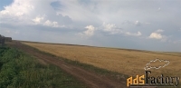 земельный участок, 250 сот.
