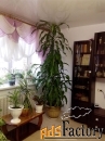 2 - комн.  квартира, 69.4 м², 4/5 эт.