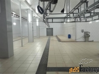 другое, 2500 м²