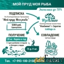 Эко-продукты от фермеров-производителей
