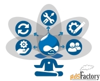 Drupal - разработчик, frontend, backend, друпал
