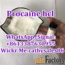 factory supply procaine hcl/procaine hydrochloride powder cas 51-05-8