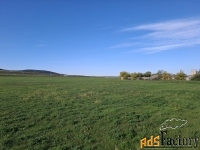 Участок 142,19 сот. (сельхозназначения)