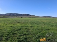 Участок 142,19 сот. (сельхозназначения)