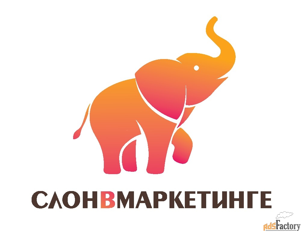 интернет-маркетолог