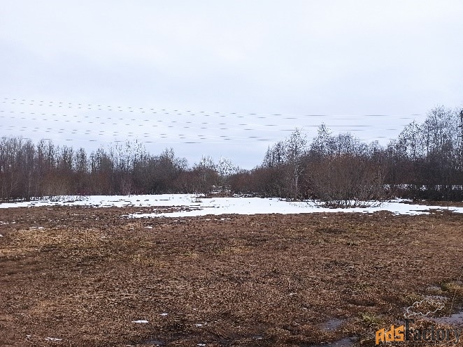 земельный участок, 100 сот.