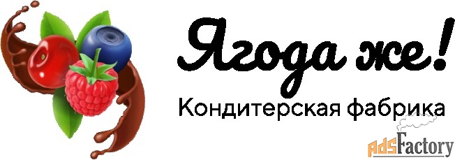 мастер-ремонтник