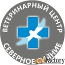 ветеринарный врач стационара