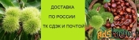 саженцы редких плодово-ореховых культур