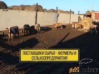 продается готовый действующий бизнес мясокомбинат полного цикла