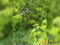 коттедж 47.5 м² на участке 33.82 сот.