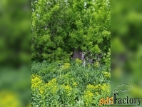 коттедж 47.5 м² на участке 33.82 сот.