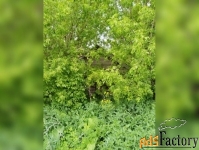 коттедж 47.5 м² на участке 33.82 сот.
