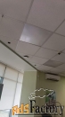 свободного назначения, 141.1 м²